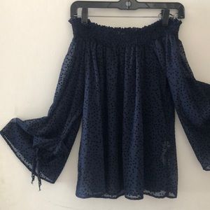 Zara Navy See Through Blouse